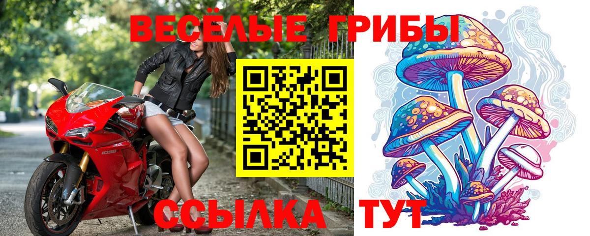 Псилоцибиновые грибы ЛСД  Галлюциногенные грибы мухоморы  Полысаево  наркота  Вход с VPN 
