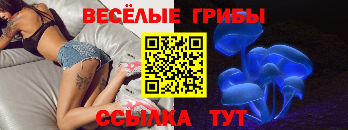 Галлюциногенные грибы Psilocybe Полысаево